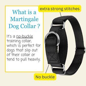 Country Brook Petz Martingale Dog Collar, Black, Large